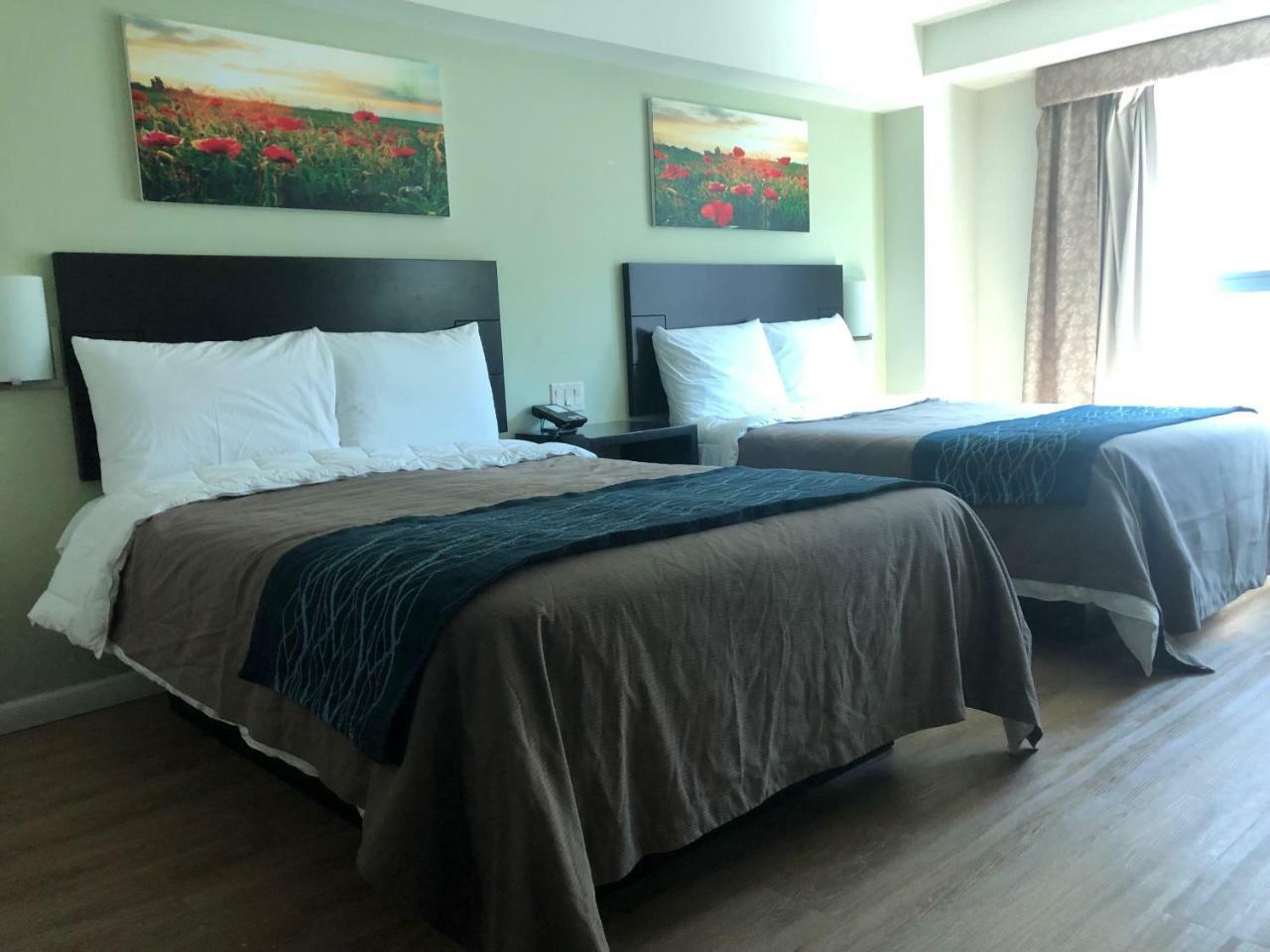 Comfort Inn & Suites - Kew Gardens Near La Guardia Airport Nowy Jork Zewnętrze zdjęcie